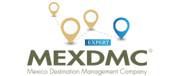 dmc logo